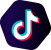 icon_tiktok